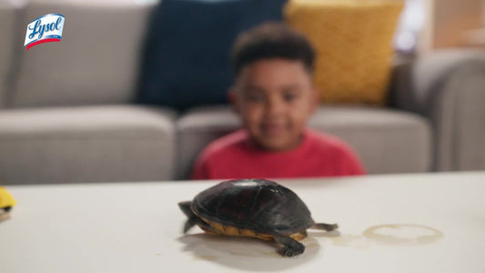 Lysol® Toilet Bowl Cleaner Gel, for Cleaning and Disinfecting, Stain Removal, Brand New Day, Mango and Hibiscus, 24 fl oz