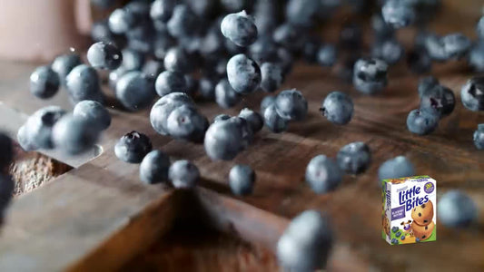 Little Bites Chocolate Chip Muffins, 10 packs, Real Chocolate Mini Muffins, 16.5 oz Multipack