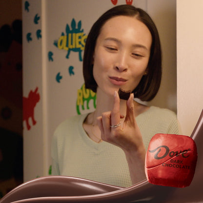 Dove Promises Dark Chocolate Candy - 14.08 oz Large Bag